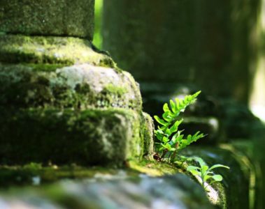 Francs jardinier présentation franc maçonnerie suisse